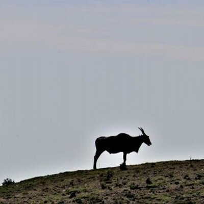 Jean-Pierre Souchon Photographe